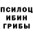 Псилоцибиновые грибы Psilocybine cubensis Leonard Mikkola