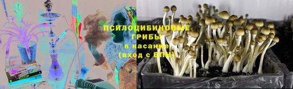 прущая мука Богородицк