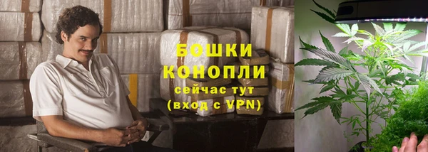 2c-b Богданович