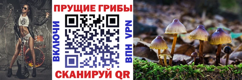 Псилоцибиновые грибы ЛСД  OMG ССЫЛКА  Оха 